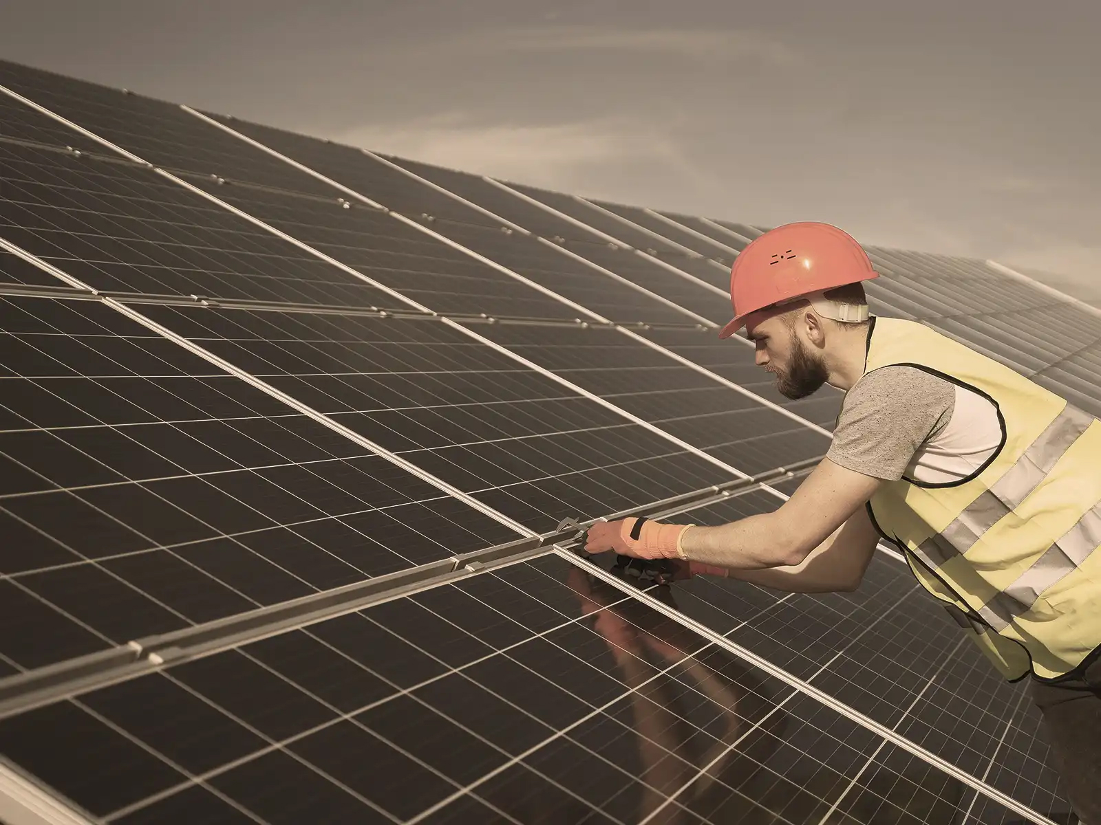 solar energy section image